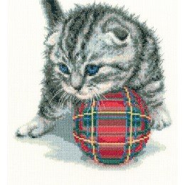 RTO - Playful kitten