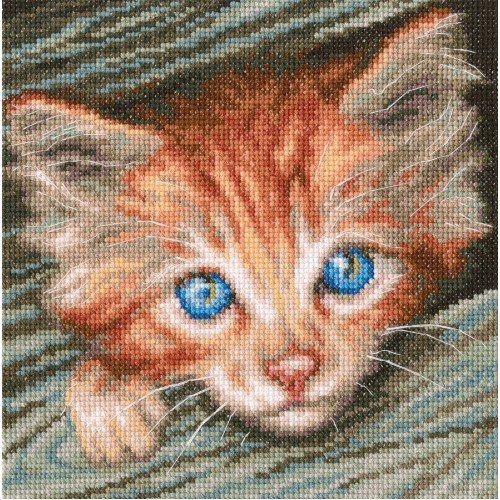 RTO - Fluffy observer