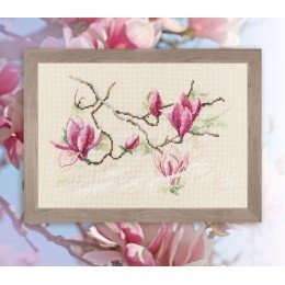 RTO - Magnolia flowers