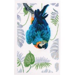 RTO - Macaw