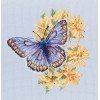 RTO - Mariposa en la flor