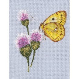 RTO - Volando hasta la flor