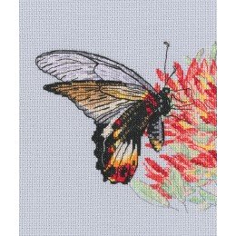 RTO - Néctar para mariposa