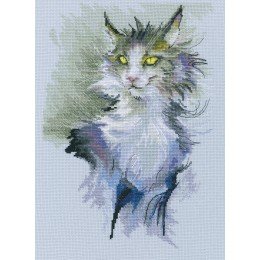 RTO - Don't rub the cat
