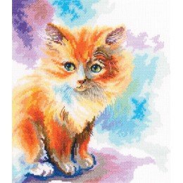 RTO - Sunny kitten