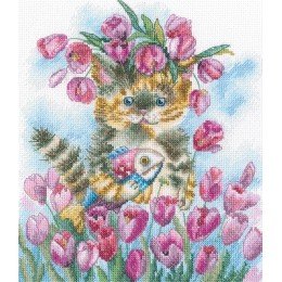 RTO - Tulip spring