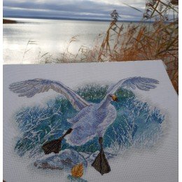 RTO - Ganso blanco sobre la nieve blanca