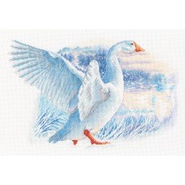 RTO - Snow goose