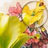 RTO - Tulipanes y narcisos