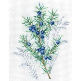 RTO - Juniper