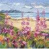 RTO - Flowers by a mountain lake