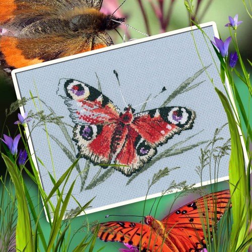 RTO - Summer beauty