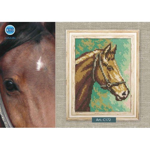RTO - Caballo castaño