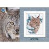 RTO - Lince