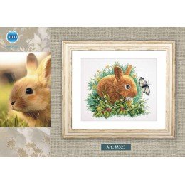 RTO - Rabbit and butter