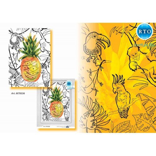 RTO - Piña