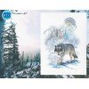 RTO - Wolf