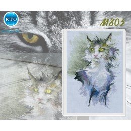 RTO - Don't rub the cat