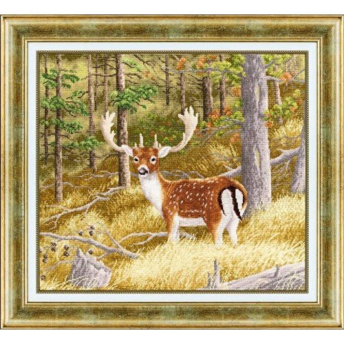 Golden Fleece - Forest deer