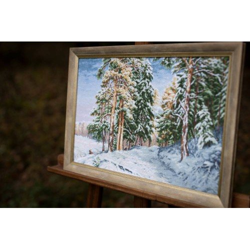 Golden Fleece - The charm of winter