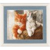 Golden Fleece - Fluffy kittens