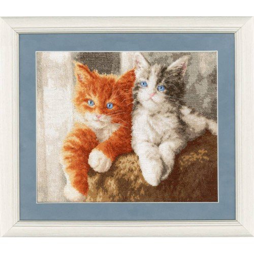 Golden Fleece - Fluffy kittens