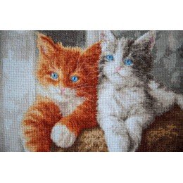 Golden Fleece - Fluffy kittens