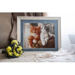 Golden Fleece - Fluffy kittens