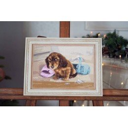 Golden Fleece - I won't do it again