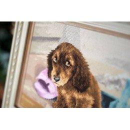 Golden Fleece - I won't do it again