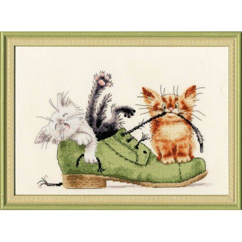 Golden Fleece - Kittens in a shoe