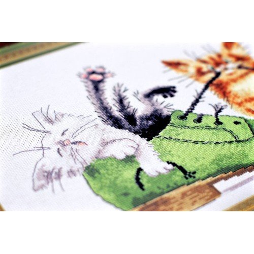 Golden Fleece - Kittens in a shoe