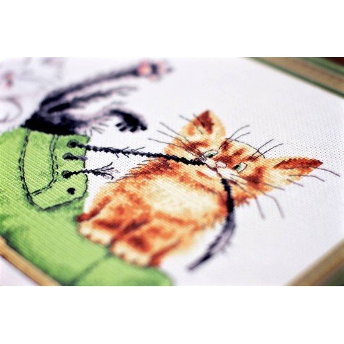 Golden Fleece - Kittens in a shoe