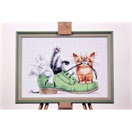 Golden Fleece - Kittens in a shoe