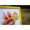Golden Fleece - First lesson