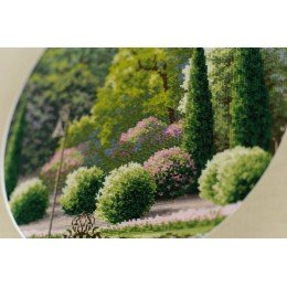 Golden Fleece - Summer park