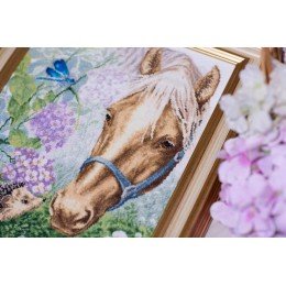 Golden Fleece - Meeting in the fog