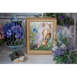 Golden Fleece - Meeting in the fog