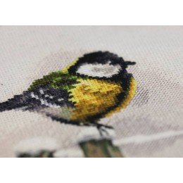 Golden Fleece - Winter gatherings