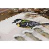 Golden Fleece - Reuniones de invierno