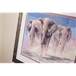 Golden Fleece - Heart of africa